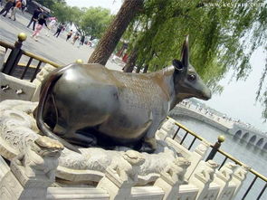 廣場銅雕羊雕塑的藝術與工藝